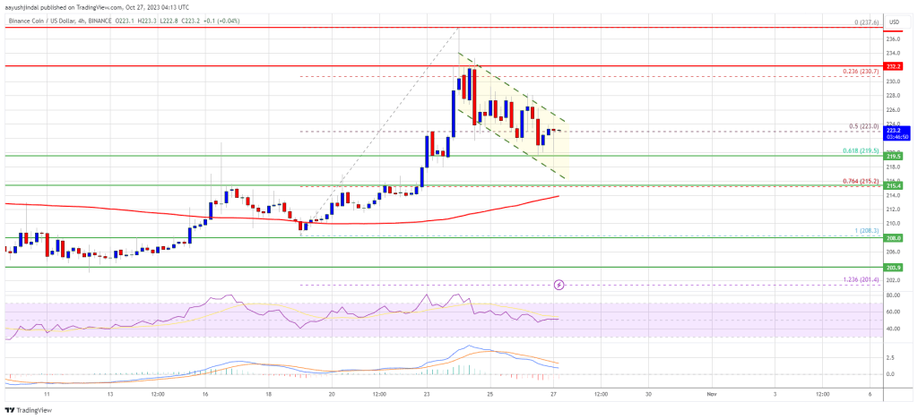 BNB Price At Make-Or-Break Moment, Key Levels To Watch