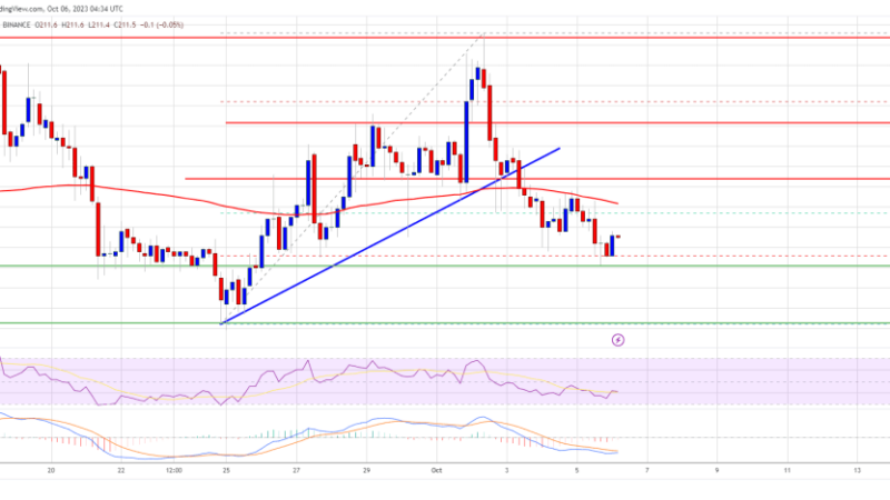 BNB Price Prediction – Bears Aim Nasty Drop Below $200, Here’s Why
