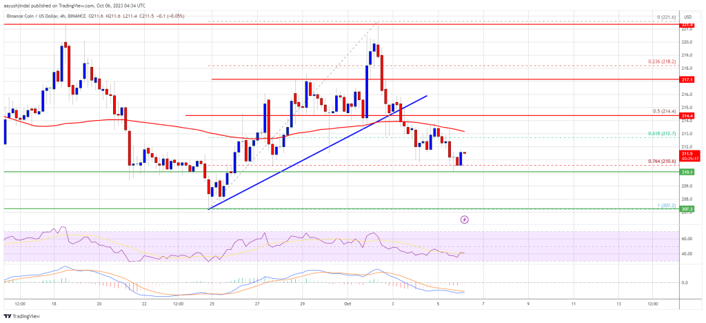 BNB Price Prediction – Bears Aim Nasty Drop Below $200, Here’s Why