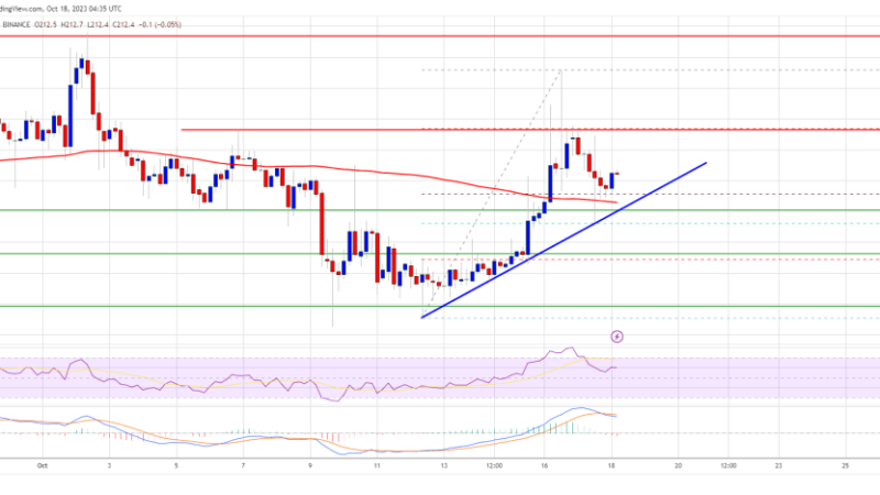 BNB Price Prediction – Bears Struggle, Will Price Finally Cross $220?