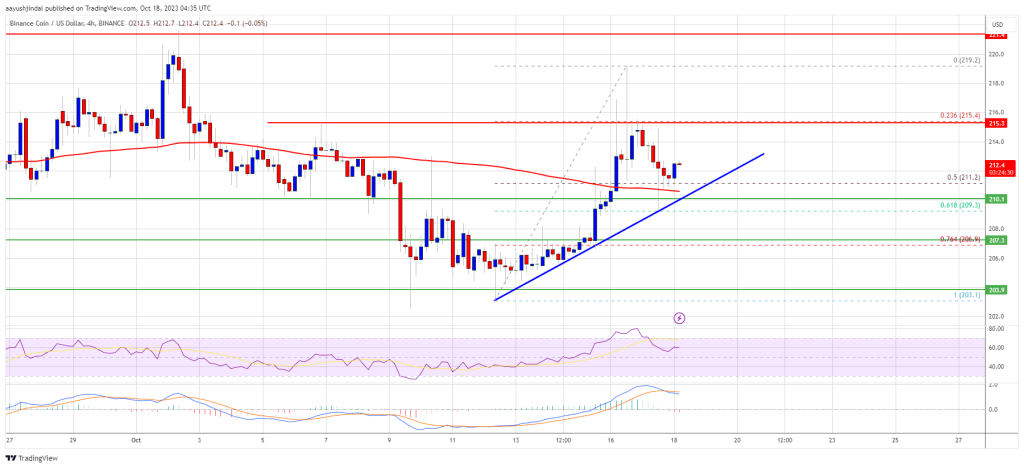 BNB Price Prediction – Bears Struggle, Will Price Finally Cross $220?