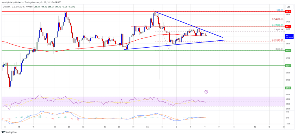 Litecoin Price Prediction: LTC Could Retest $60 Before Fresh Surge