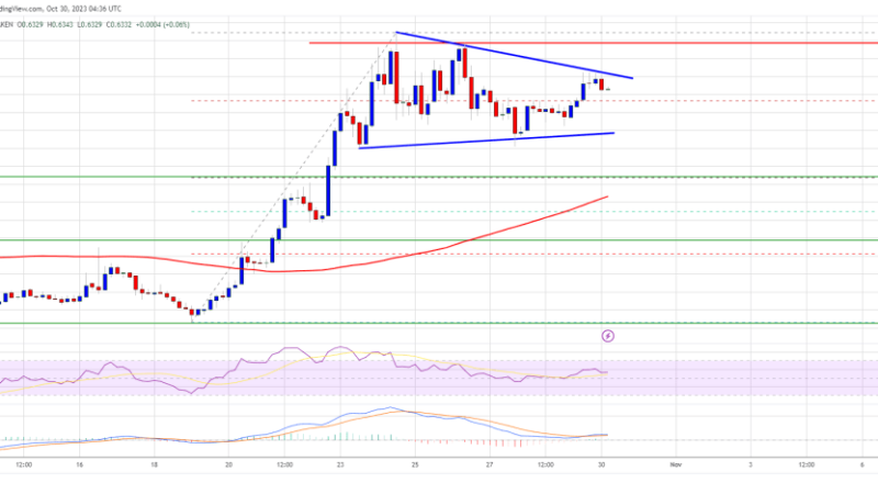 MATIC Price Prediction: Polygon Could Blast 10% To $0.70