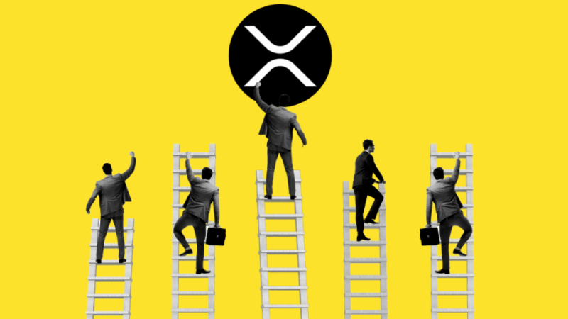 November 8-9 Big Date for Ripple, As IPO on the Horizon?