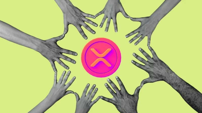 Ripple’s XRP Lawyer Says Brad Garlinghouse Deserves to Be CEO of the Decade