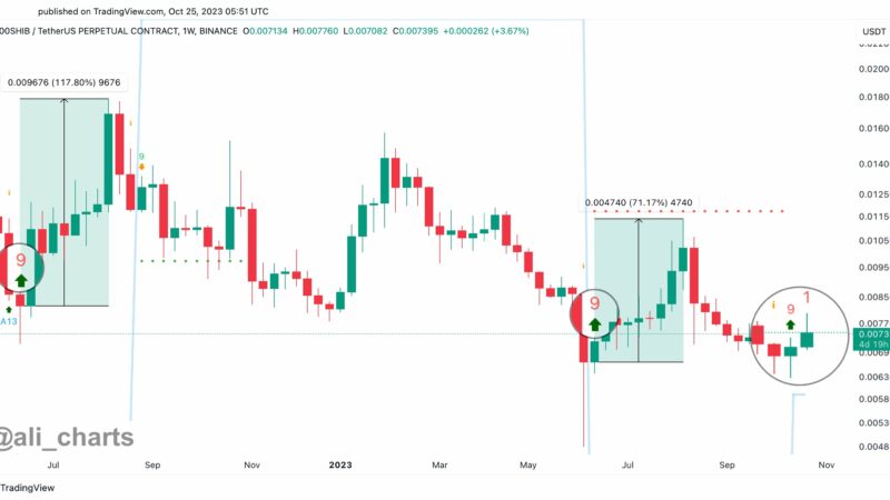 Shiba Inu Price Prints Rare Buy Signal, What You Need To Know