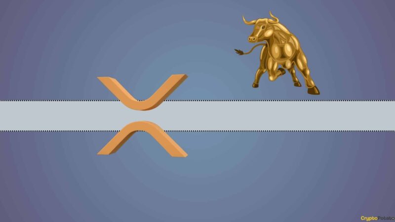 The Reason Ripple (XRP) is Very Bullish According to Wall Street Expert