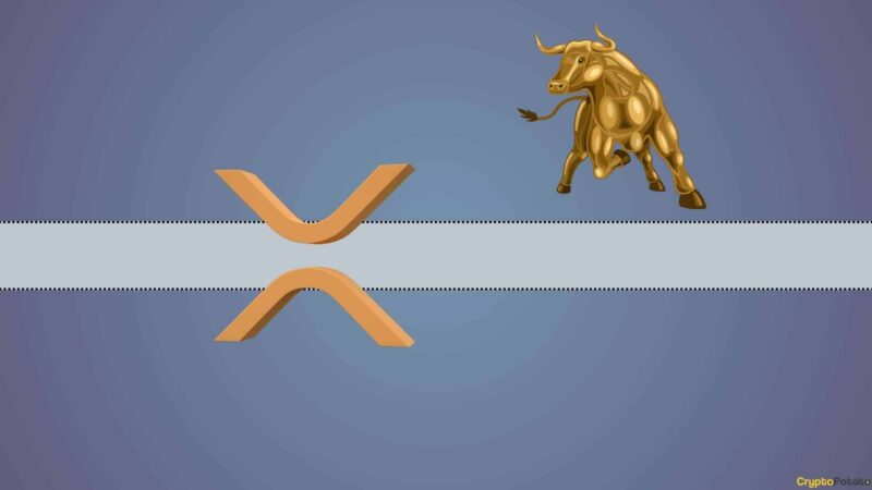 The Reason Ripple (XRP) is Very Bullish According to Wall Street Expert