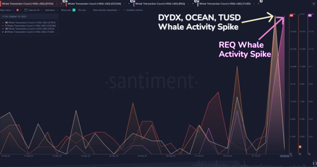 Three Altcoins See Increased Whale Activity as This New ICO Raises $1.5 Million