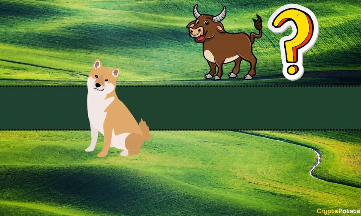 Which Altcoin is Worth Buying? Shiba Inu (SHIB) Proposed By This Bitcoin Proponent