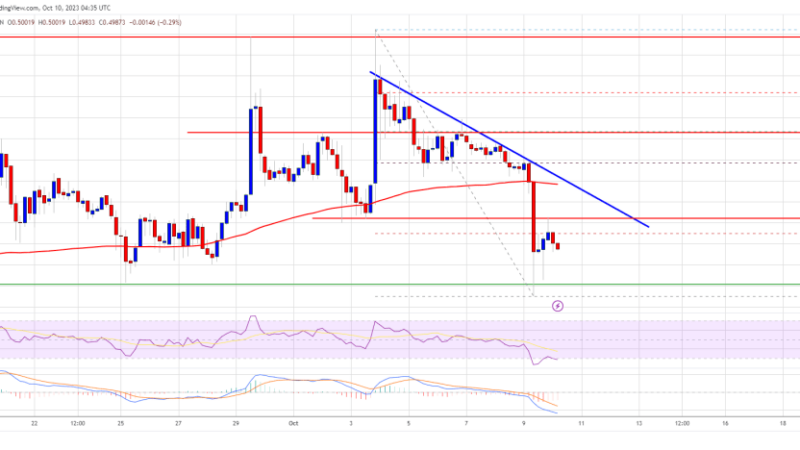 XRP Price Prediction – A Plunge To $0.45 On The Horizon, Here’s Why