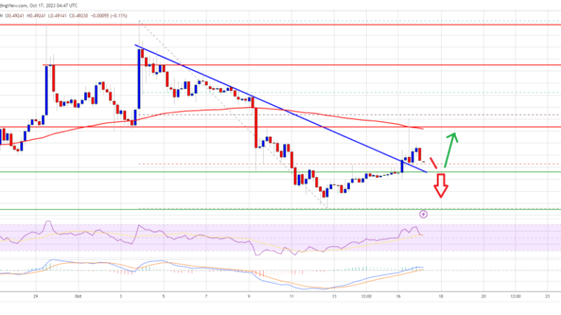 XRP Price Prediction – Chances Of Steep Decline If It Closes Below This Level
