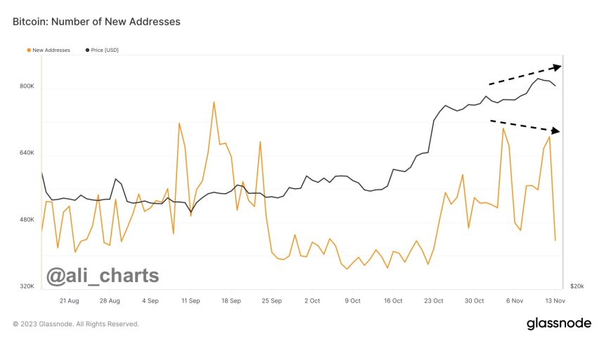 Bearish Divergence? Bitcoin Price Rises, But Network Growth Sends Warning Signals