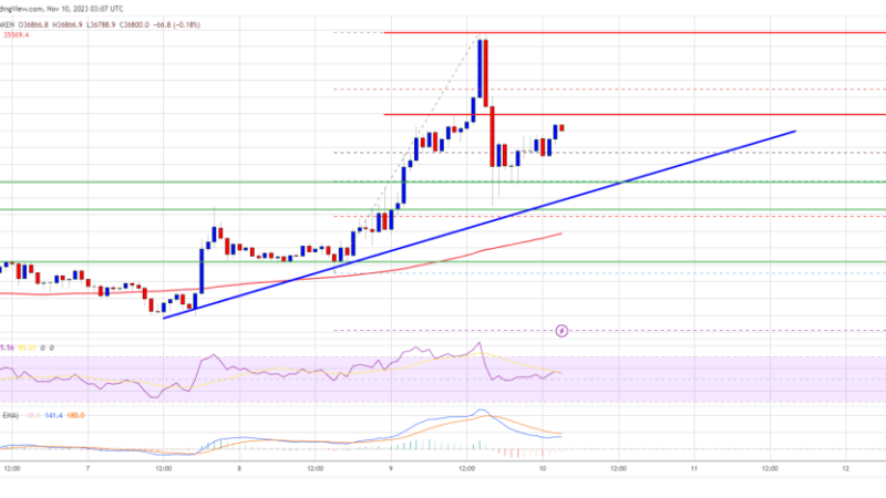 Bitcoin Price Bullish Streak Takes A Break But Bulls Are Not Done Yet
