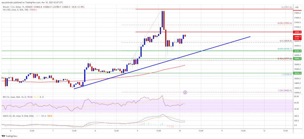 Bitcoin Price Bullish Streak Takes A Break But Bulls Are Not Done Yet