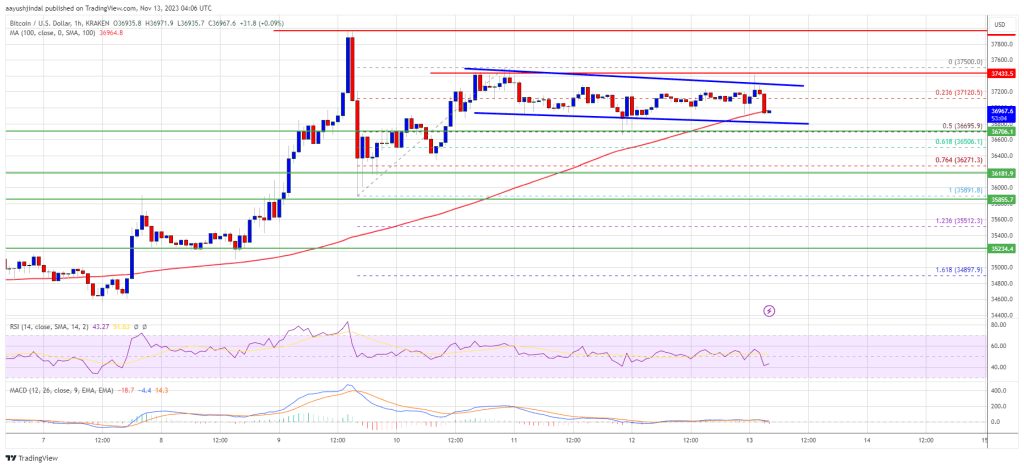 Bitcoin Price Consolidates And Signals Potential Surge To $40,000