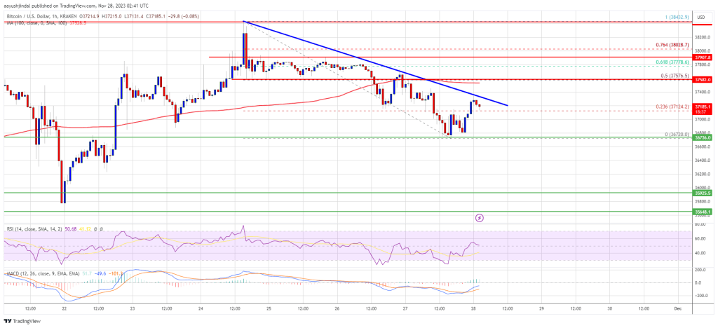 Bitcoin Price Grinds Lower As Risk of Drop To $35K Escalates