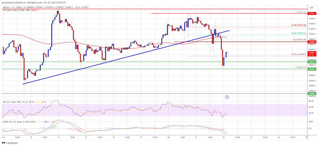Bitcoin Price Plunge Due to Binance’s Settlement Could Be ‘Buy Dips’ – Here’s Why