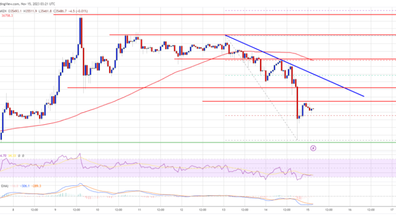 Bitcoin Price Takes Hit Despite Drop in US CPI But Bulls Still In Control