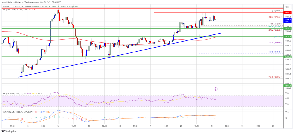 Bitcoin Price Uptrend To Continue? These Factors Could Spark Fresh Surge