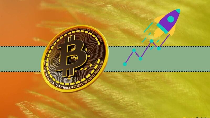 Bitcoin’s Price is Pumping in the Past 24 Hours: Here’s Why