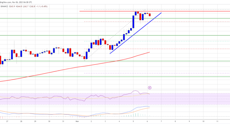 BNB Price Shows Signs of Life But $250 Is The Key To More Upsides