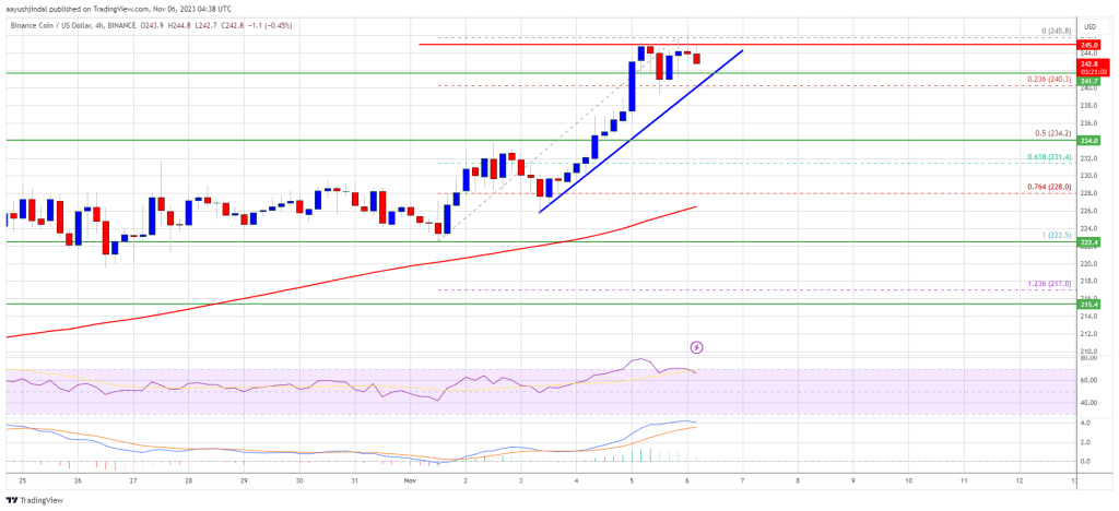 BNB Price Shows Signs of Life But $250 Is The Key To More Upsides