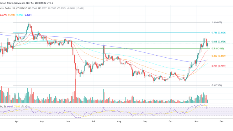 Cardano: Midnight Devnet Goes Live – Trigger For New ADA Rally?