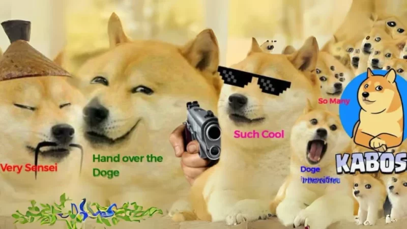 Celebrating Kabosu: The Queen of Memes and the Oldest Shiba Inu Alive