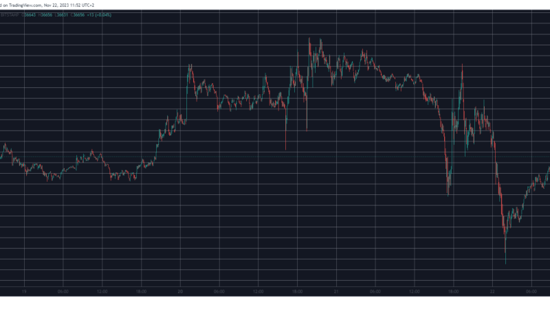 Crypto Markets Lost $60 Billion Following Binance-DOJ Settlement (Market Watch)