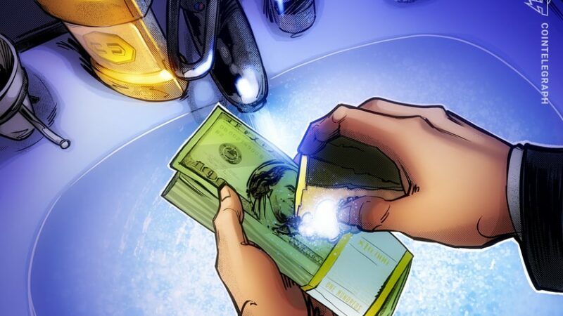 Cryptoqueen’s OneCoin legal chief pleads guilty to fraud