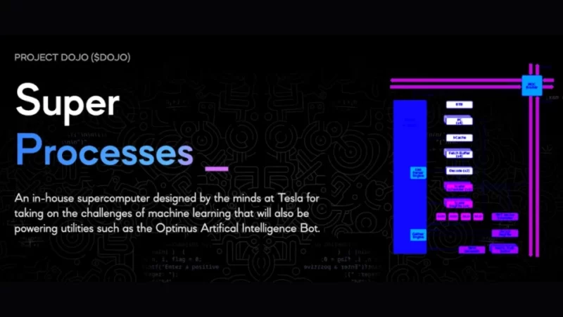 $DOJO: Empowering the Muskonomy through Innovation, Technology, and Vision