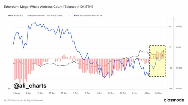 Ethereum Whales Go On 9-Day Accumulation Spree: ETH Price Rally Incoming?