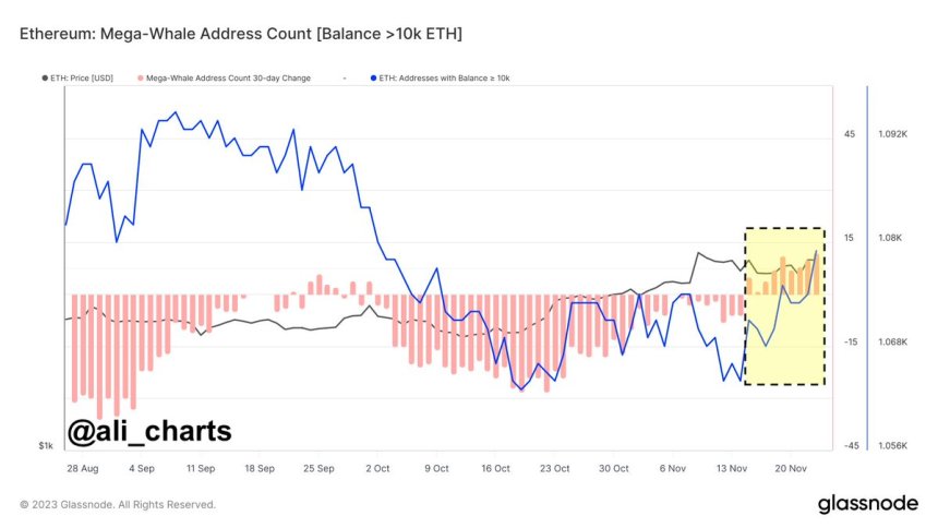 Ethereum Whales Go On 9-Day Accumulation Spree: ETH Price Rally Incoming?