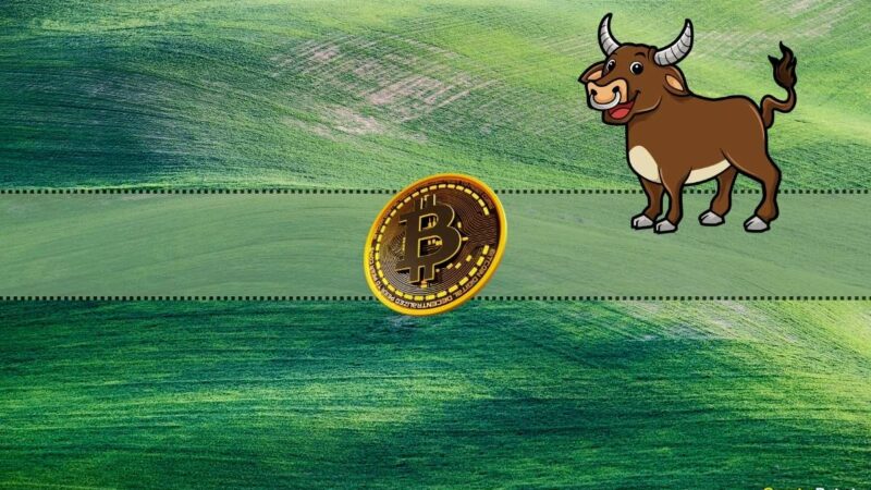 Here’s How High BTC Can Go Pre-Halving: Analyst With Bullish Bitcoin Price Prediction