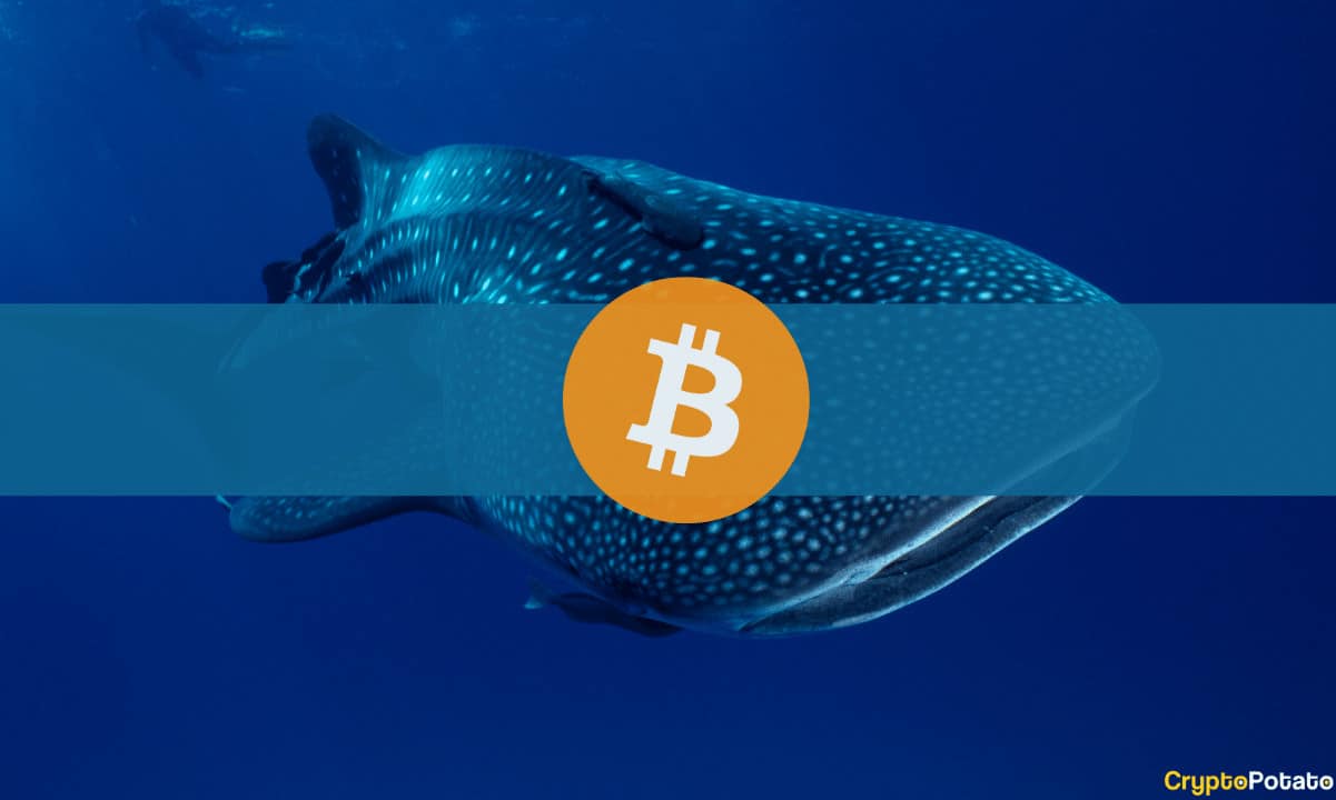 How a Bitcoin (BTC) Whale Amassed $126M in Unrealized Profits in Less Than a Year: Details