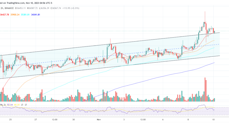 Matrixport Reveals Top 6 Bitcoin, Ethereum And Crypto Predictions For 2024