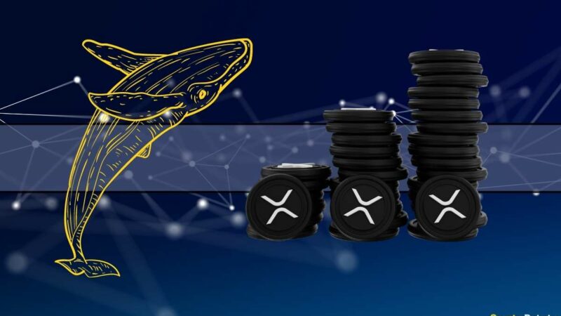 Trouble for Ripple (XRP) Price? This Whale Has Moved Nearly $25M in XRP to Exchanges