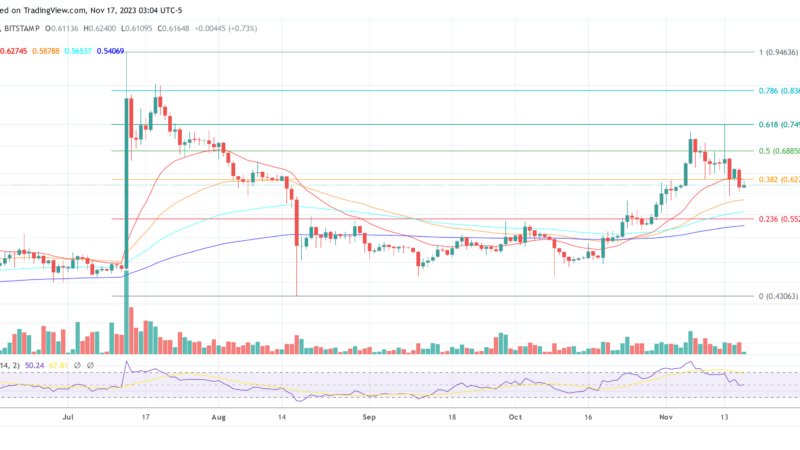 Wall Street Expert Predicts Ripple IPO Date