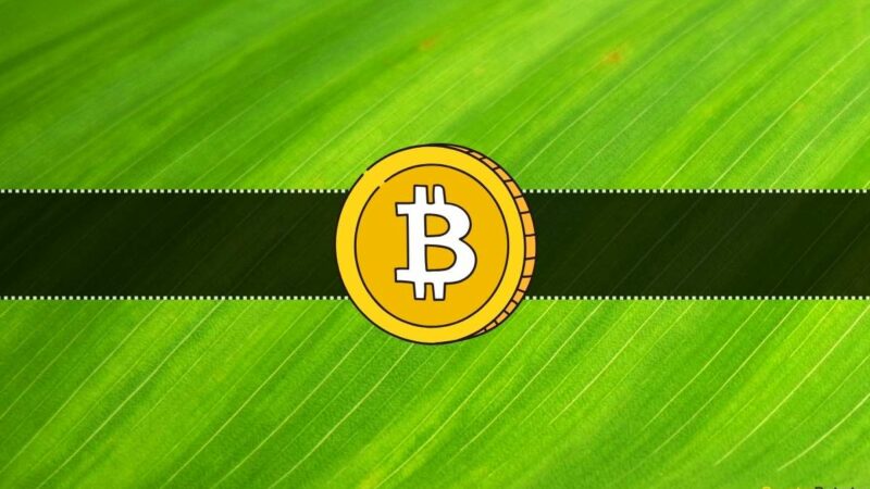 Will the Bitcoin (BTC) Price Rally Continue in November?