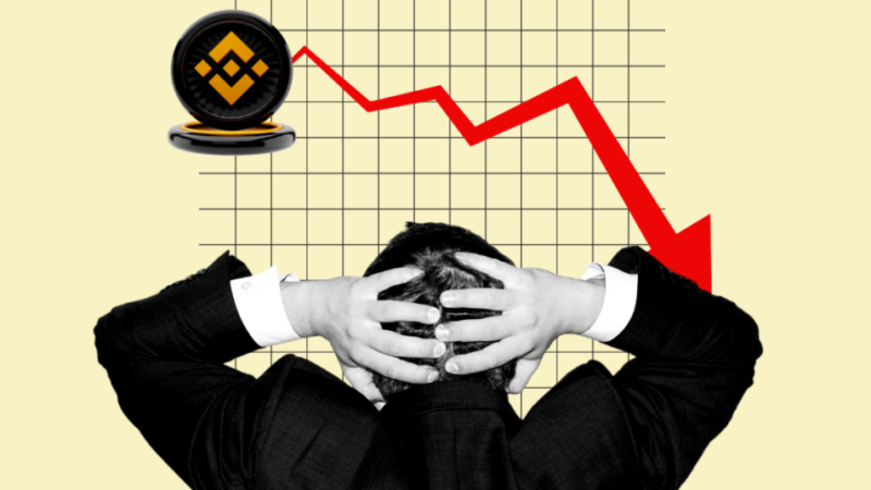 With CZ Pleading Guilty, Is Binance’s BNB Price Falling To Zero?