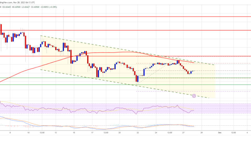 XRP Price Prediction – Downside Thrust Possible Before Fresh Surge To $0.72