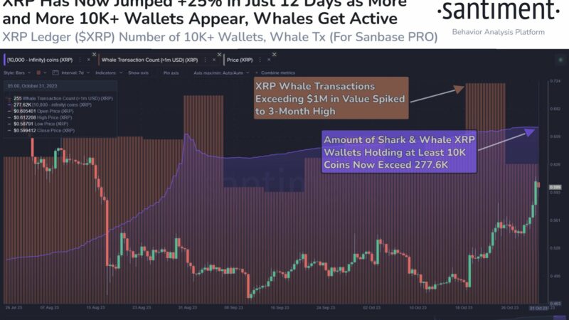 XRP Whale Transactions Spike To 3-Month High As Smart Money Buys