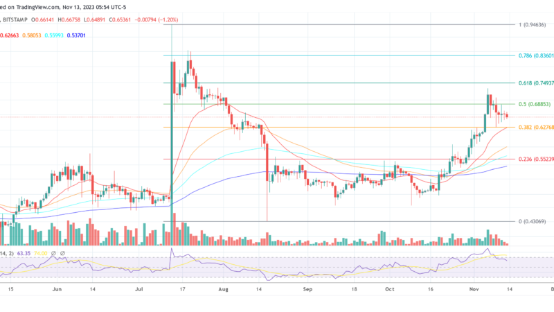 XRP Will Diverge Away From Price Speculation: Crypto Pundit