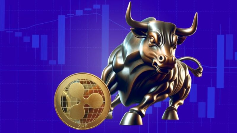 XRP’s Upcoming Bull Run: Why This Time Will Be Different?