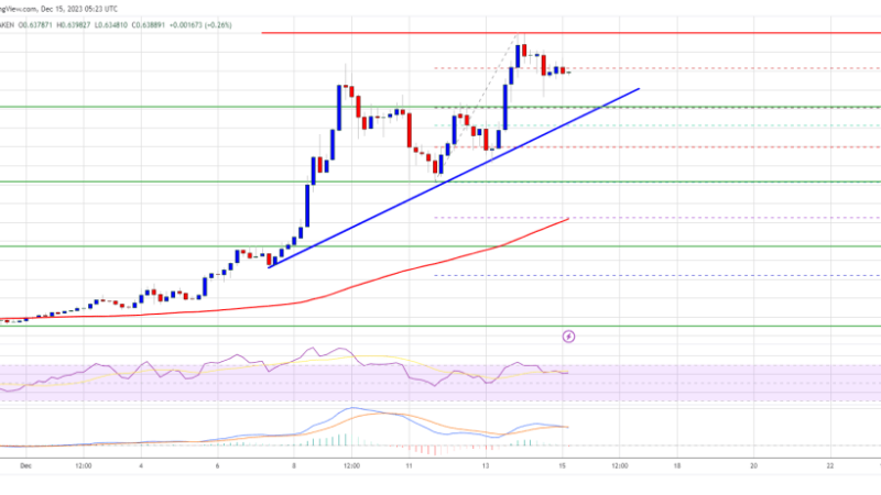 ADA Price Surges Over 35% In Few Days, Can Bulls Pump Cardano To $1?
