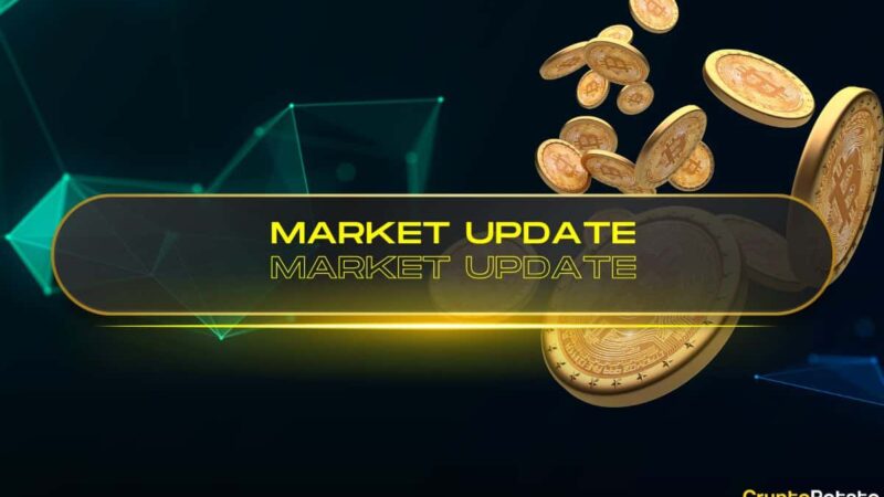 Bitcoin Bull Run Temporarily Halted as Altcoin Season Kicks In: This Week’s Crypto Recap