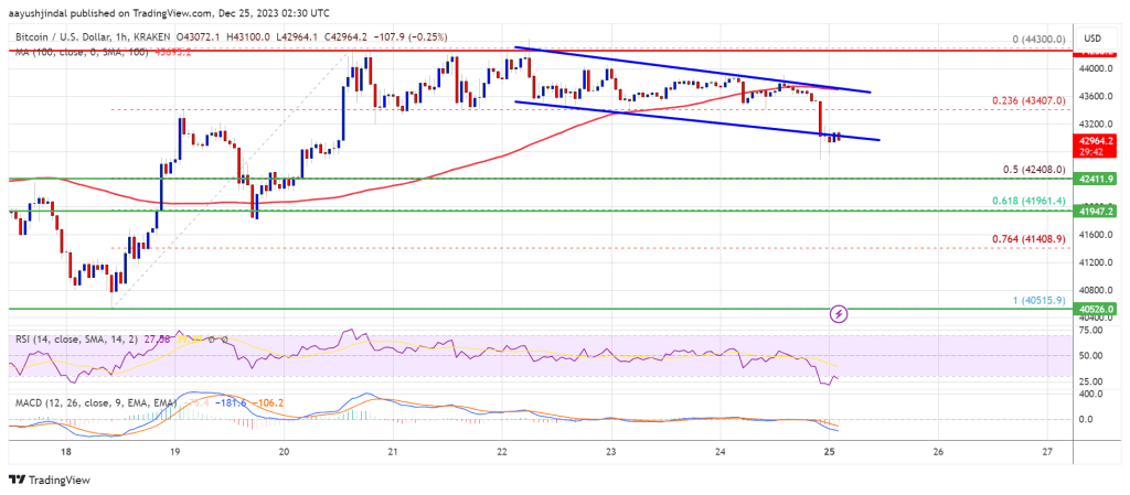 Bitcoin Price Dips On The Christmas Day But Dips Still Attractive