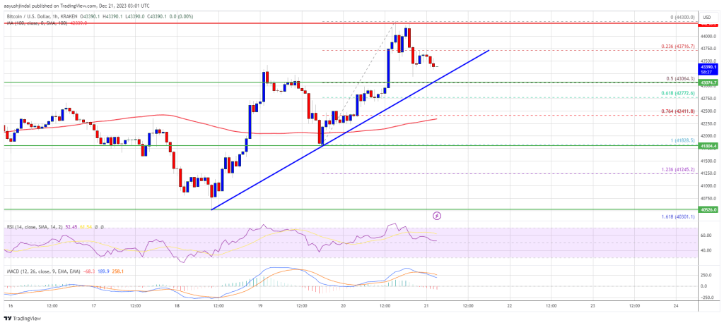 Bitcoin Price Outperforms – Key Reasons Why Bulls Still Aim $48K