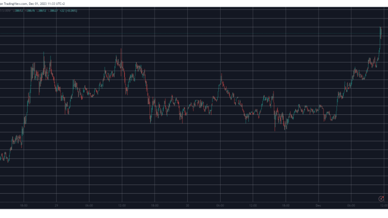 Bitcoin Skyrockets to 19-Month Peak but These Alts Have Performed Better (Market Watch)